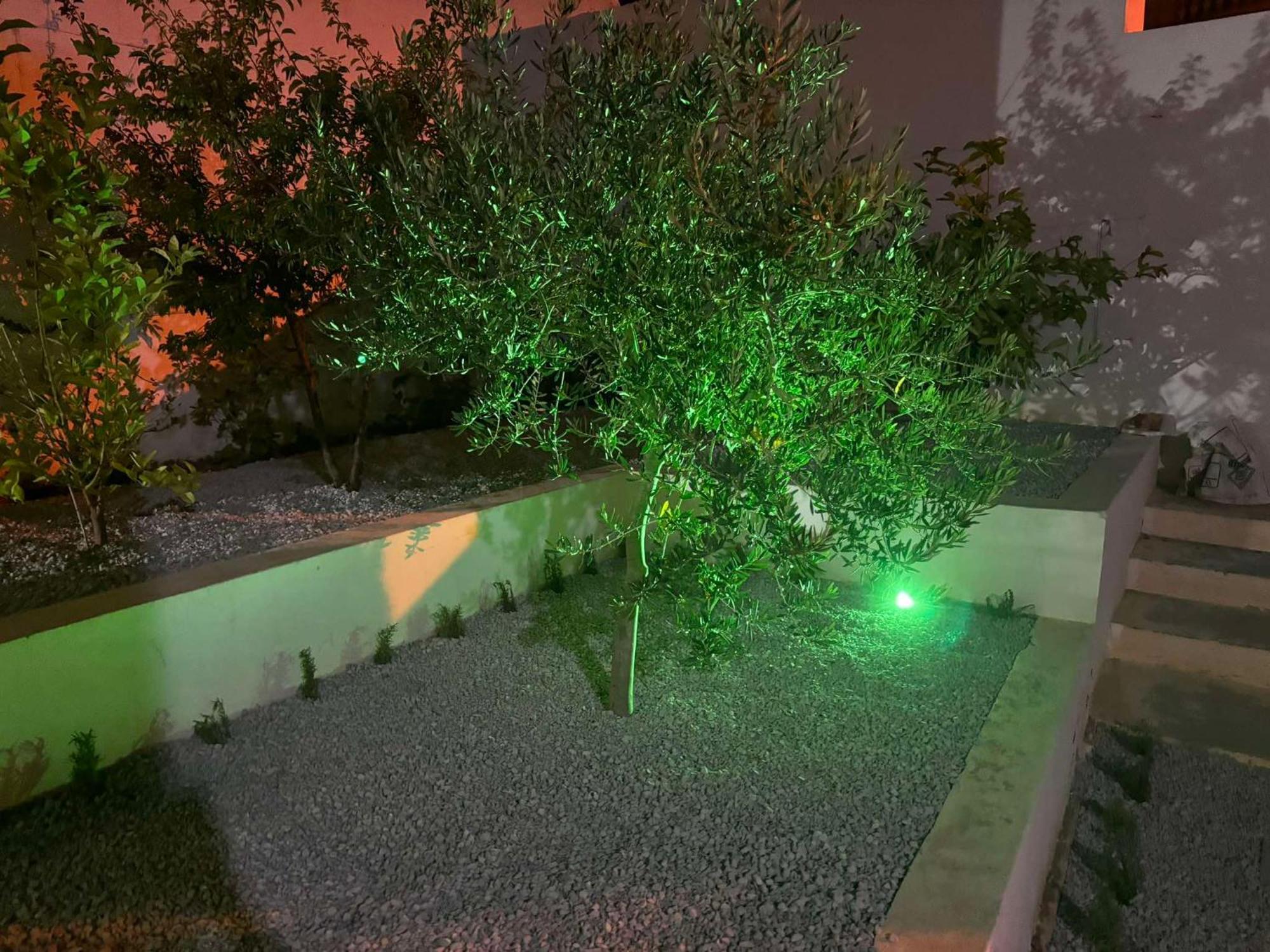 Chez Hayet Otel Hammamet Dış mekan fotoğraf